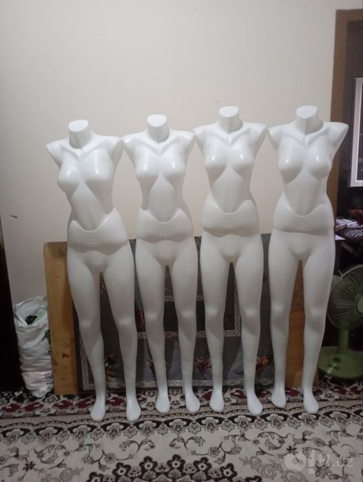 Maniken bor yengi