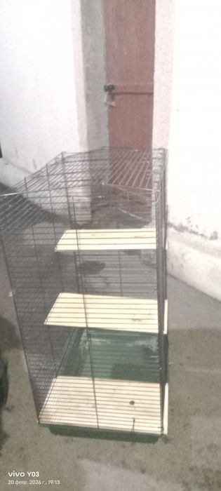 Продам для разных грызунов