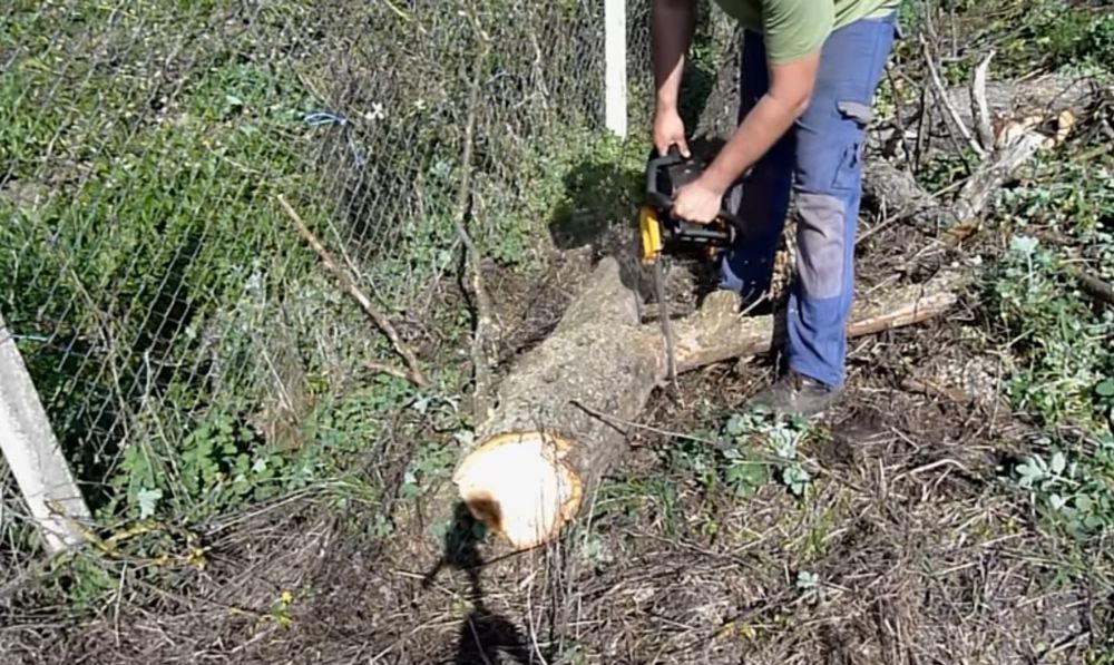 Defrisam taiem pomi copaci cu drujba defrișări terenuri iarba Bălări