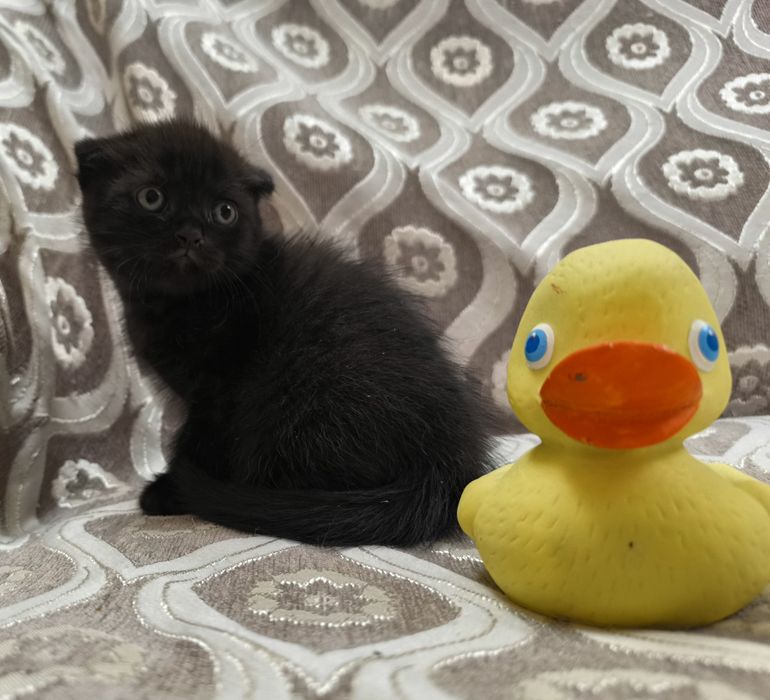 Милые и забавные малыши