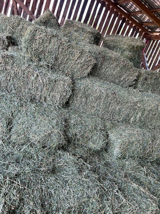 Vind Baloți de Lucernă