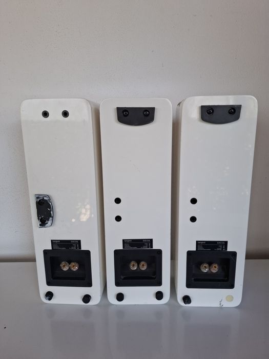 Sateliti/boxe Bang&Olufsen Beovox cx100.Tangent EVO E4L