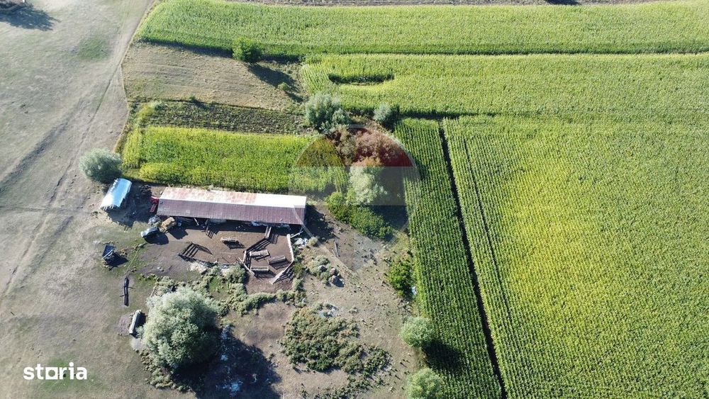 Teren 4,400mp Moara Suceava