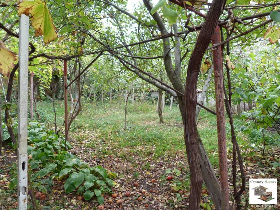 115929 Къща с равен двор в с. Беляковец, на минути от Велико Търново