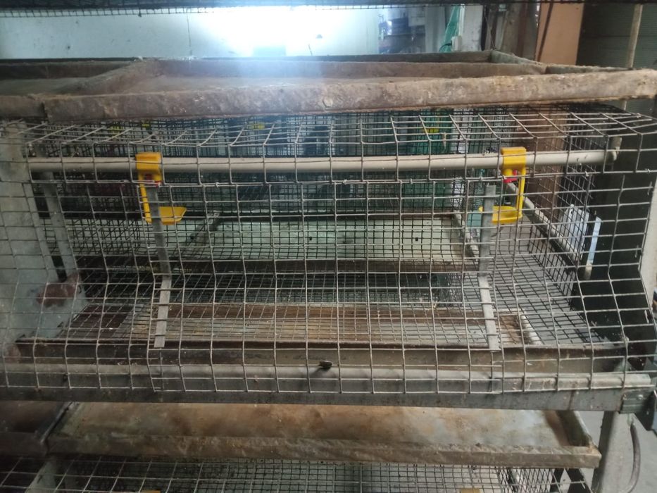 Клетка для птицы