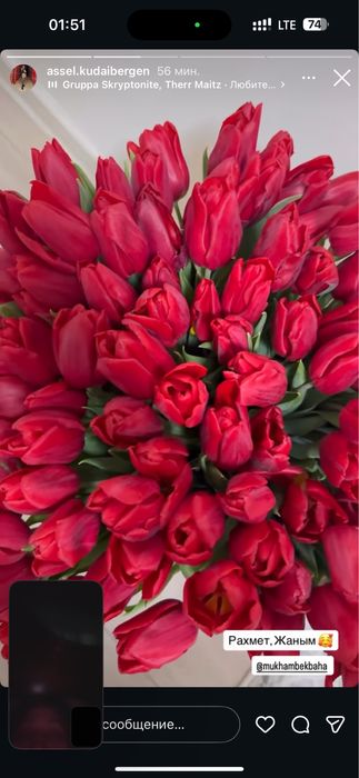 Тюльпан оптом и в розницу