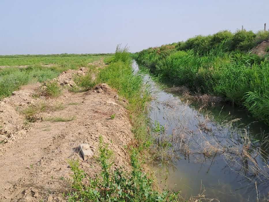 Егістікке арендаға жер беріледі.