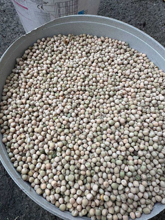 Vand Mazare Calitate Inalta!