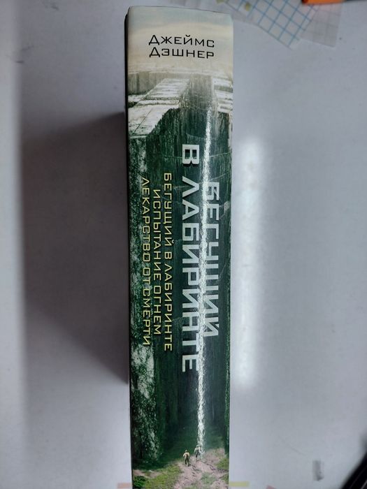 Книга "Бегущий в лабиринте"