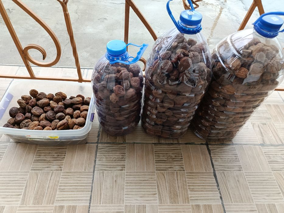 Субхон орикни турщаги