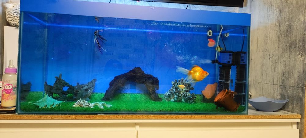 Продам Аквариум 300л