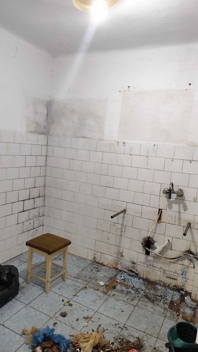 Menaj, curățenie, îngrijire animale de companie