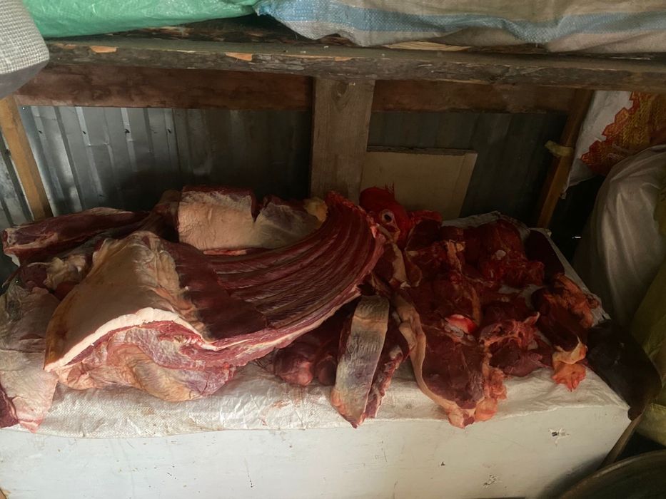 Мясо конины