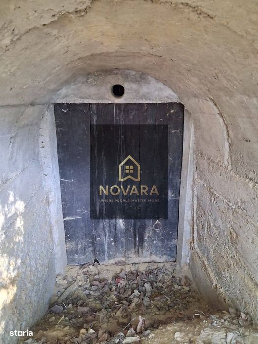 Teren Tileagd Bihor