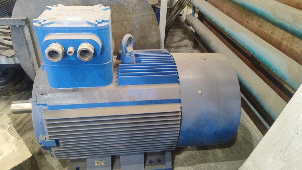 Электродвигатель ВЗИ 250х3000