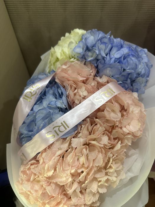 Гул свежий бугынгы