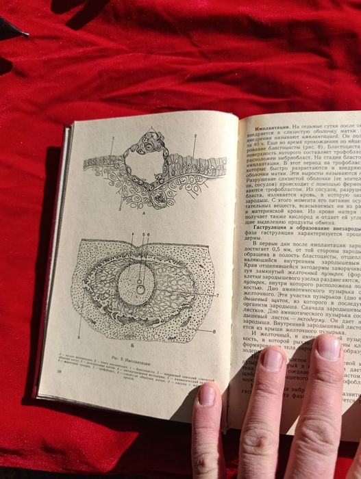 Анатомия издания СССР редкая