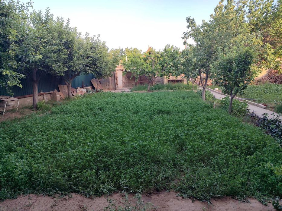 Dacha sotiladi 3 xonali