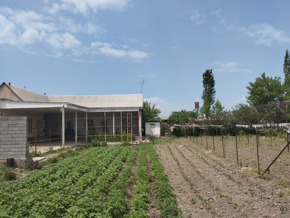 Яшаш учун тайёр ховли