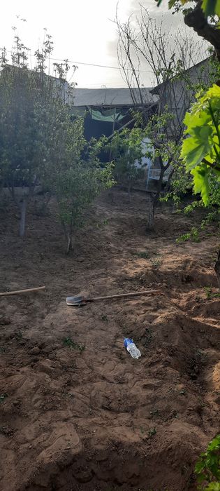 Дала ховли сотилади