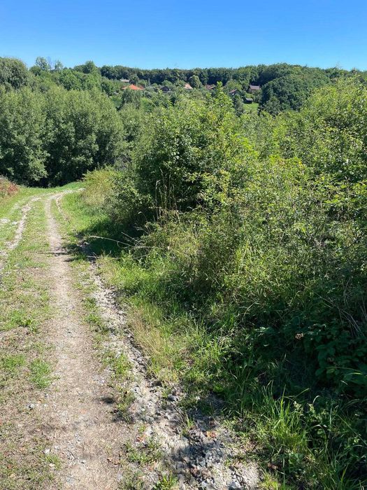 Teren de vanzare - Casele Micesti, comuna Feleacu, Cluj