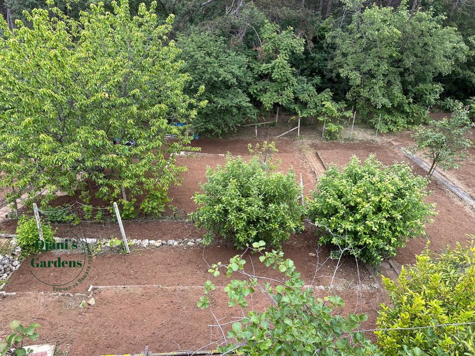 Косене на трева - висока и ниска/ озеленване/поддръжка