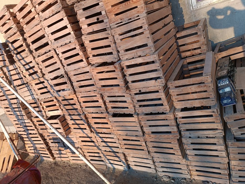 20 кг ящик сотилади