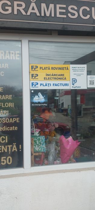 Articole Funerare Plenita Dolj 24/24 H