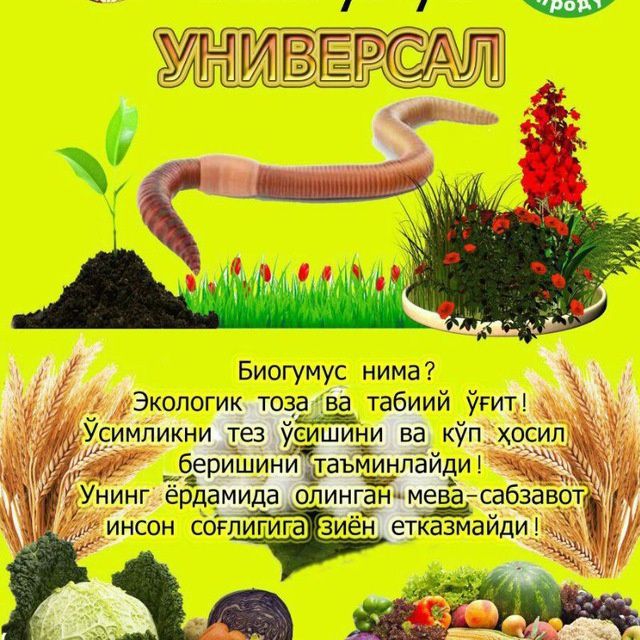 Kaliforniya qizil yomg'ir chuvalchanglari