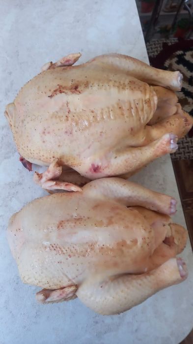 Продам мясо бройлеров