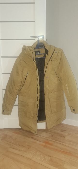 Зимняя куртка TNF