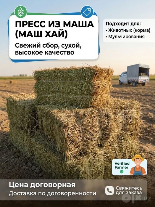 Мош пресс сотамиз