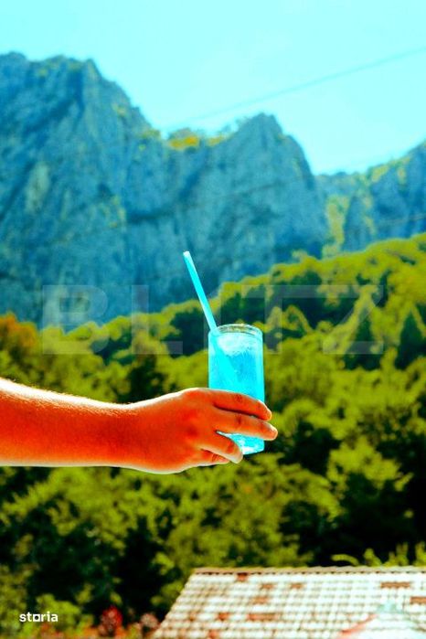 Casa de vacanta in inima naturii – Ramet, Valea Manastirii