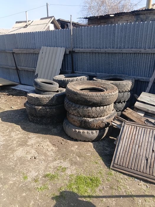 Обмен на курей ..