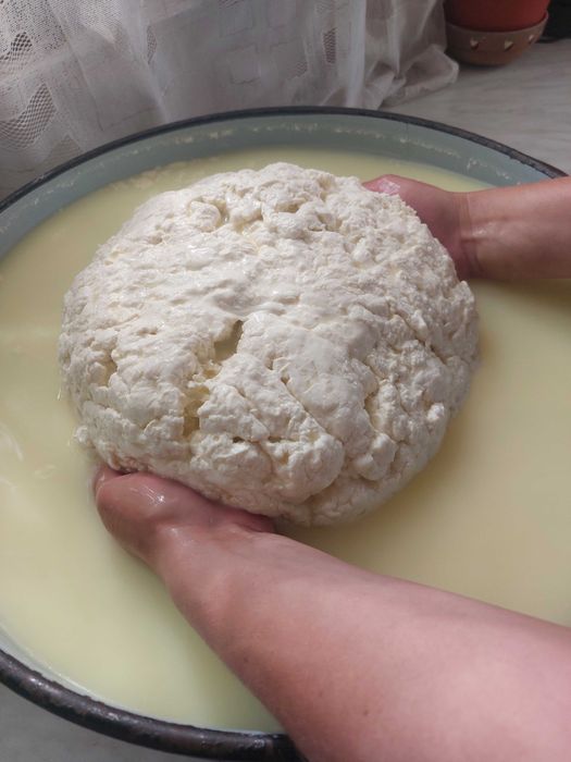 Vand cas de vaca , amestecat vaca cu oaie sau doar de oaie