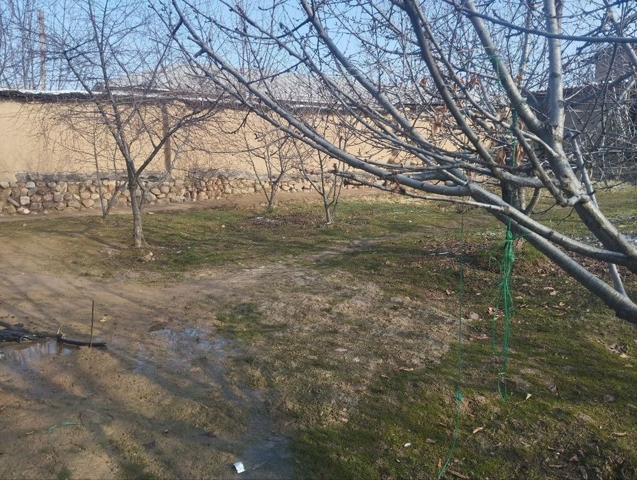 Yer sotiladi Parkentda 4sotix