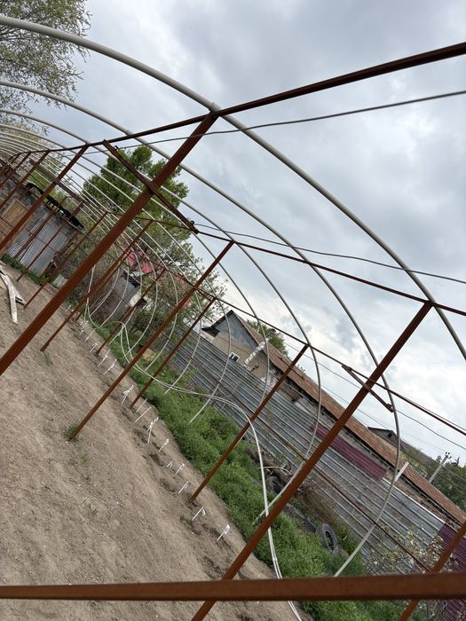 Теплица ст Шамалган