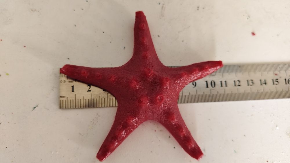 Akvarium uchun bezaklar