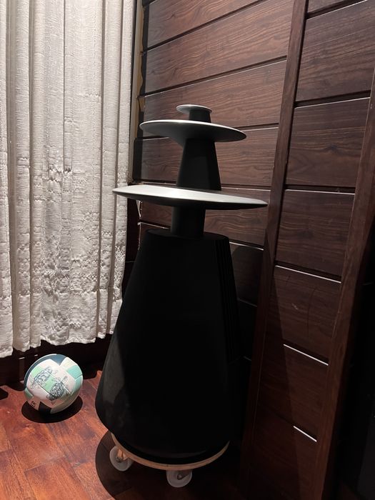 Bang & Olufsen  колони