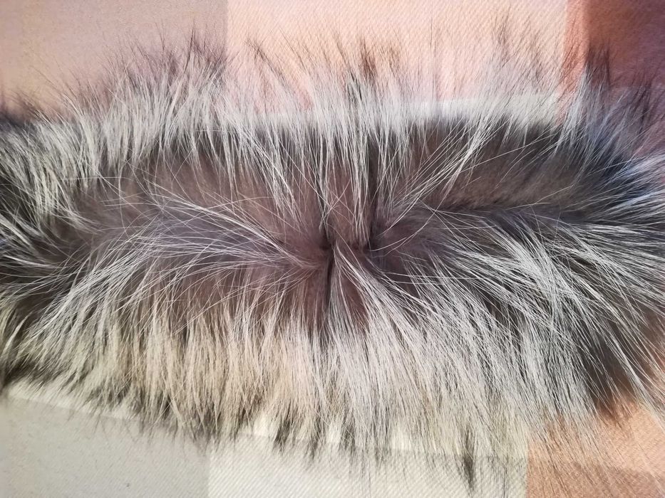 Лиса чёрно-бурка