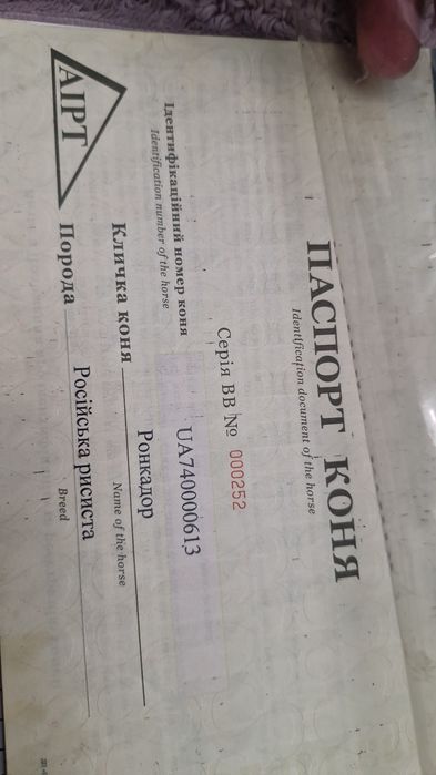 Продам Племенова коня!