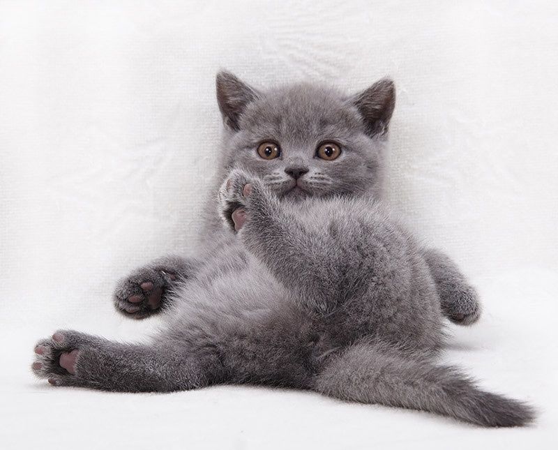 Hammomdagi yalangoch qizning fotosurati