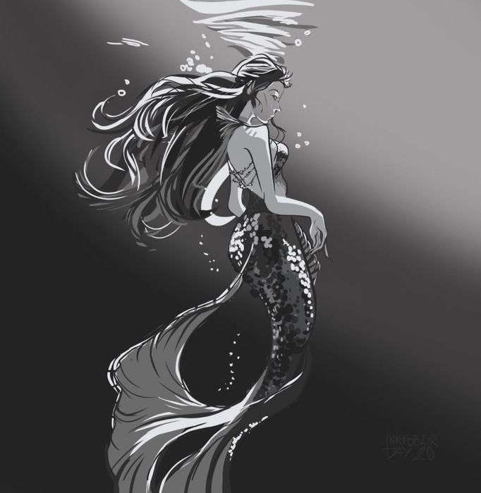 Иллюстратор, художник