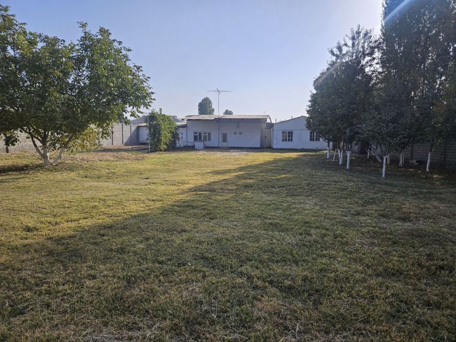 СРОЧНО! Сурум  50 сотих ер сотилади 13 500 $