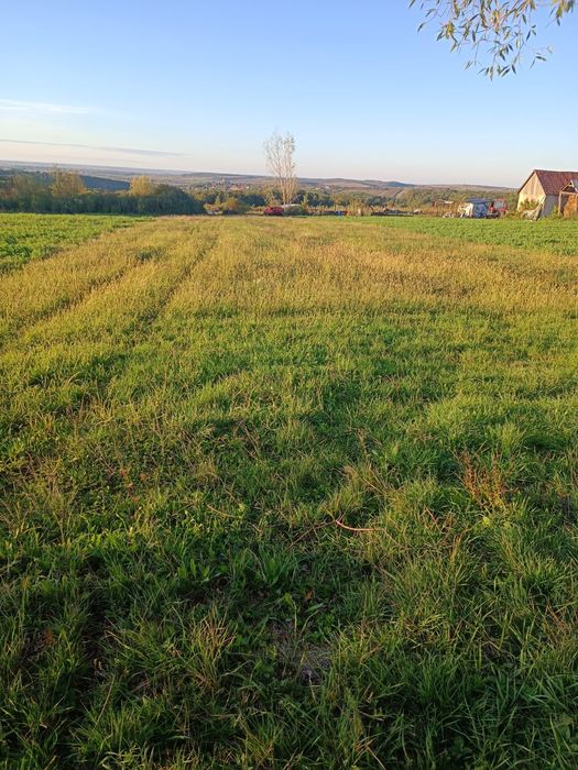 Vând casă în Săldăbagiu de Munte