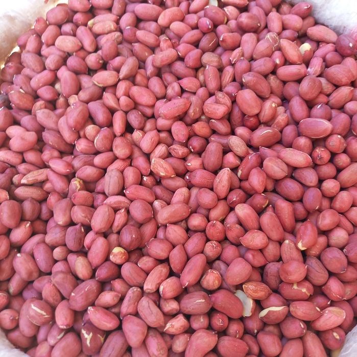 Сырой нежаренный арахис qovurilmagan xom yer yong'oq araxis орехи