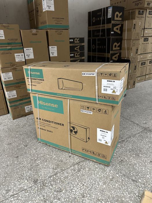 Kandisaner hisene 12.18.24