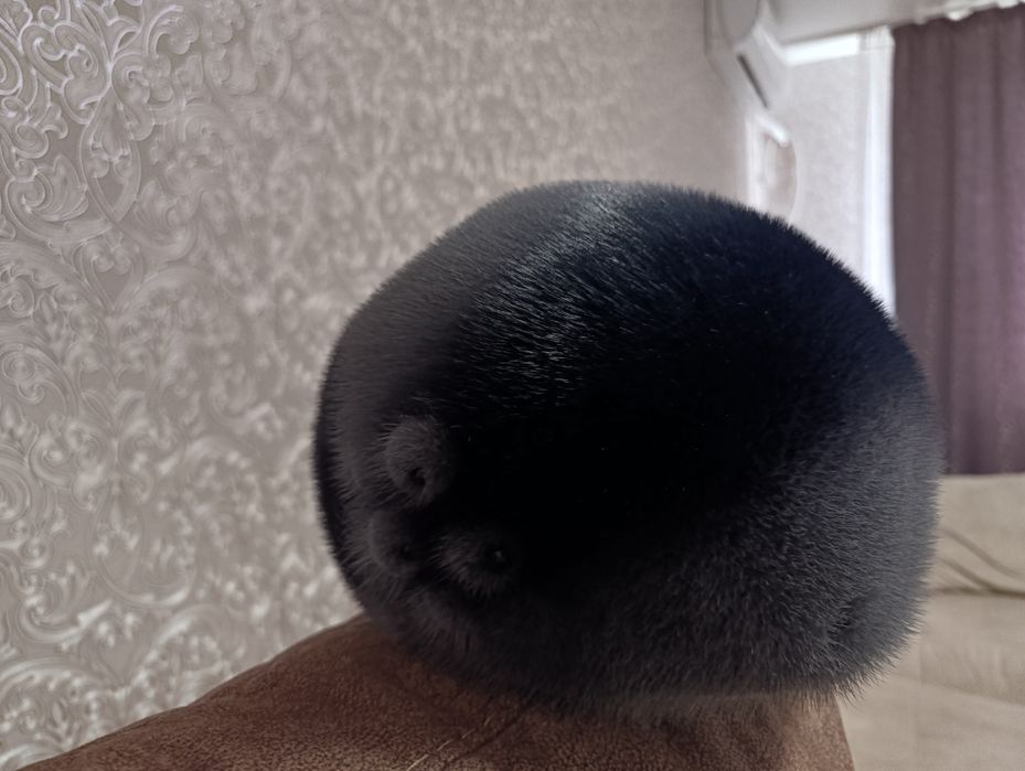 Норковая шапка, берет