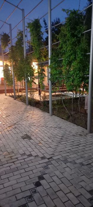 Сдается дом иностранцам