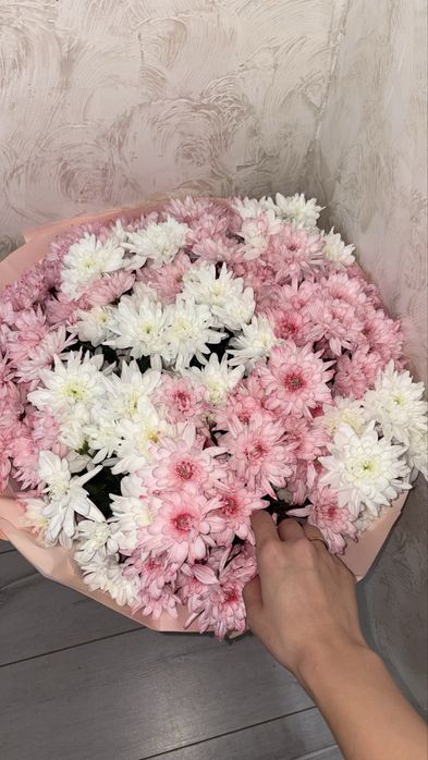 Свежие хризантемы